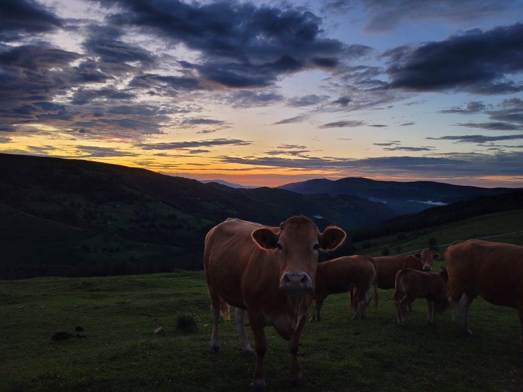 Vistas y paisajes de los alrededores