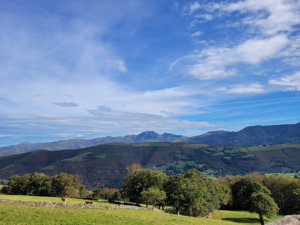 Vistas y paisajes de los alrededores