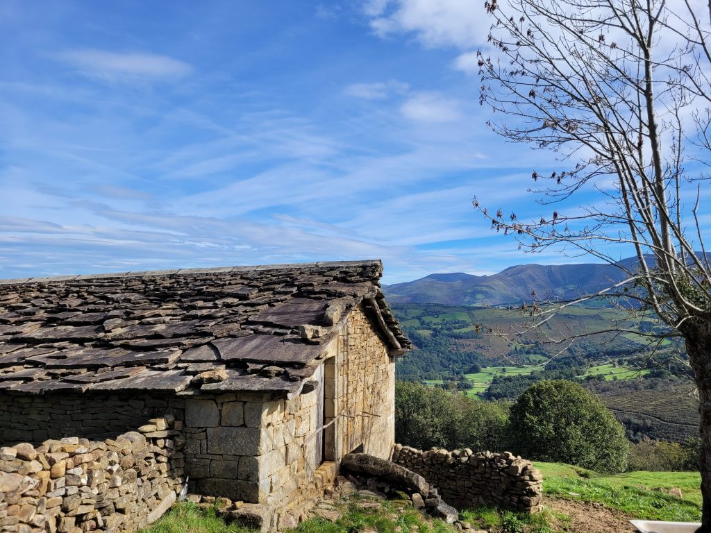Vistas y paisajes de los alrededores